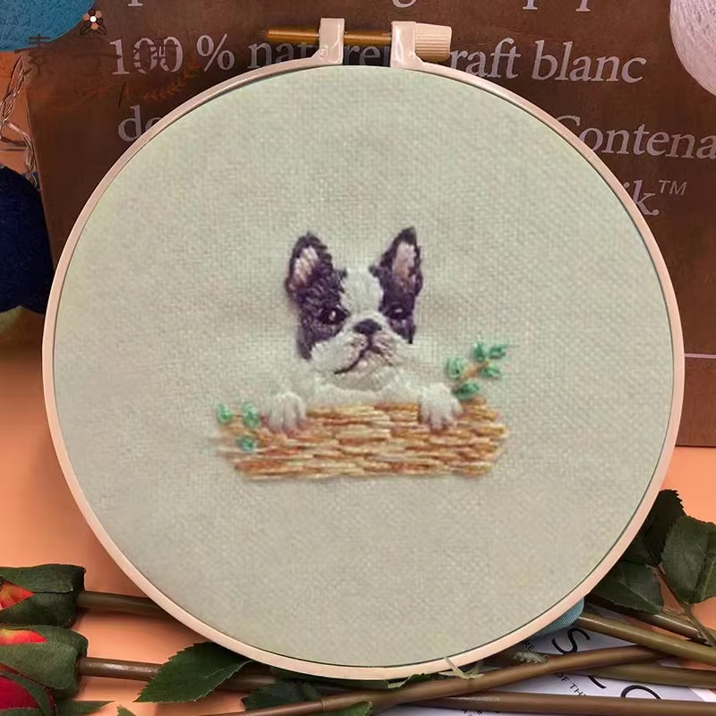 DIY Embroidery Print Yarn Fabric Needle Sets