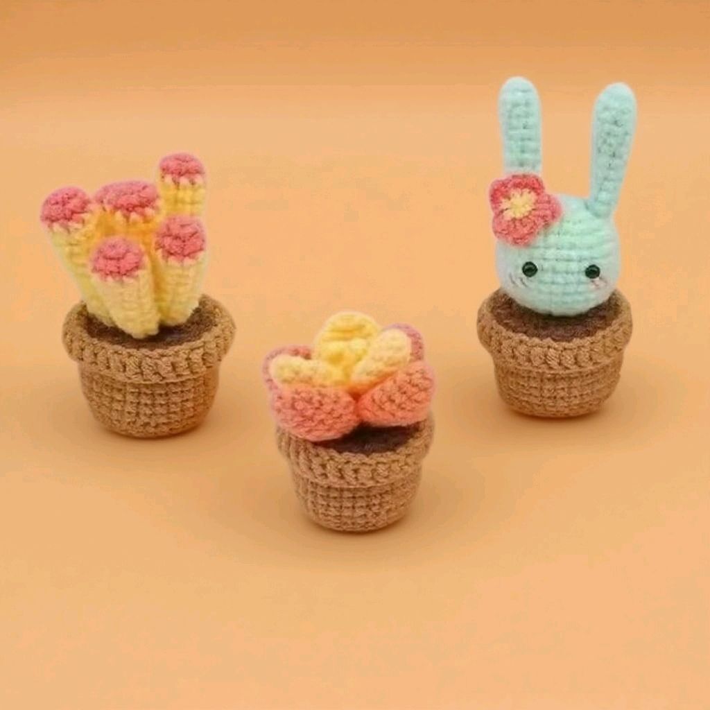 Crochet Succulent Plant Kit for Beginners Set of 3