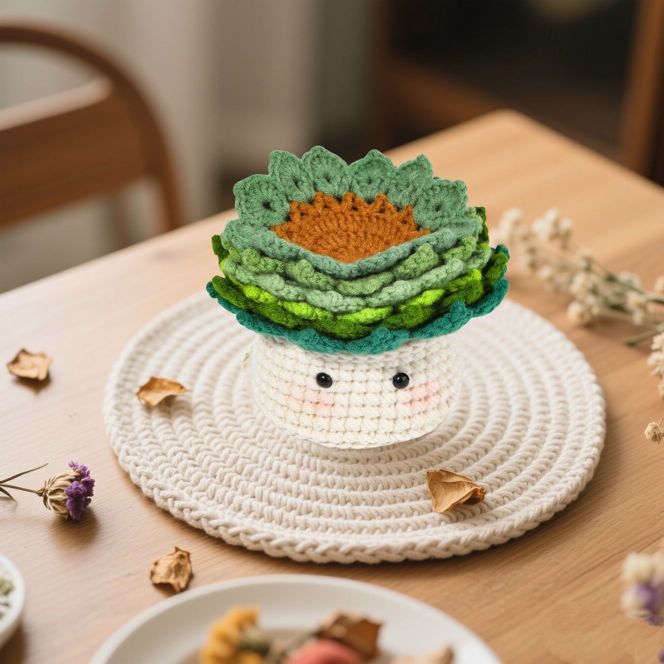 Crochet Coffee Coaster Kit for Beginners Handmade Decor